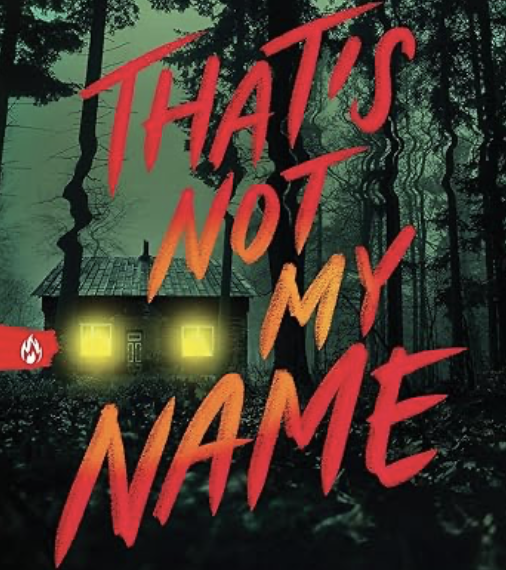 BOOK REVIEW: That’s Not My Name by Megan Lally